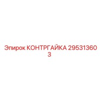 295313603 КОНТРГАЙКА Epiroc