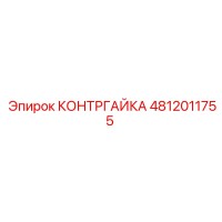 4812011755 КОНТРГАЙКА Epiroc