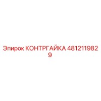 4812119829 КОНТРГАЙКА Epiroc