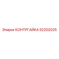 52202025 КОНТРГАЙКА Epiroc