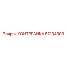 57104309 КОНТРГАЙКА Epiroc