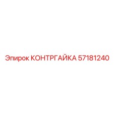 57181240 КОНТРГАЙКА Epiroc