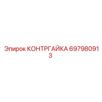 697980913 КОНТРГАЙКА Epiroc