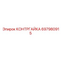 697980915 КОНТРГАЙКА Epiroc