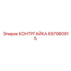697980915 КОНТРГАЙКА Epiroc
