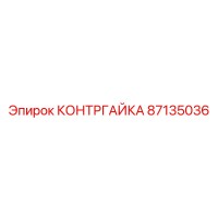 87135036 КОНТРГАЙКА Epiroc