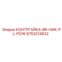 9753214832 КОНТРГАЙКА-BR-НИК-PL-PG16 Epiroc