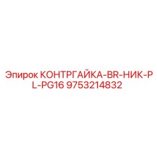 9753214832 КОНТРГАЙКА-BR-НИК-PL-PG16 Epiroc