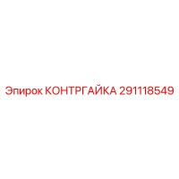 291118549 КОНТРГАЙКА Epiroc