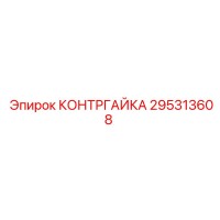 295313608 КОНТРГАЙКА Epiroc