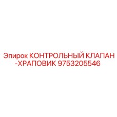 9753205546 КОНТРОЛЬНЫЙ КЛАПАН-ХРАПОВИК Epiroc