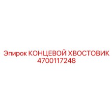 4700117248 КОНЦЕВОЙ ХВОСТОВИК (Epiroc)