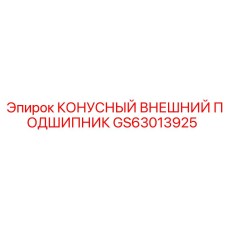 GS63013925 КОНУСНЫЙ ВНЕШНИЙ ПОДШИПНИК Epiroc