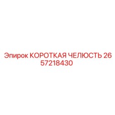 2657218430 КОРОТКАЯ ЧЕЛЮСТЬ Epiroc