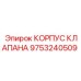 Литой корпус для гидравлического клапана Epiroc 9753240509