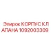 1092003309 КОРПУС КЛАПАНА Epiroc