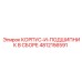 4812156591 КОРПУС-И-ПОДШИПНИК В СБОРЕ Epiroc