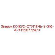 1320772473 КОЖУХ-СТУПЕНЬ-3-Ж6-4-8 Epiroc