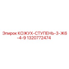 1320772474 КОЖУХ-СТУПЕНЬ-3-Ж6-4-9 Epiroc