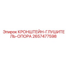 2657477598 КРОНШТЕЙН-ГЛУШИТЕЛЬ-ОПОРА Epiroc