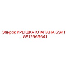 GS12669641 КРЫШКА КЛАПАНА GSKT… Epiroc