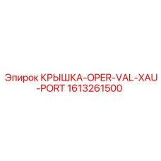 1613261500 Крышка-OPER-VAL-XAU-PORT Epiroc