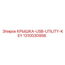 1310030956 КРЫШКА-USB-UTILITY-KEY Epiroc