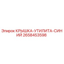 2658453598 КРЫШКА-УТИЛИТА-СИНИЙ Epiroc