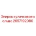 2657192080 кулачковое кольцо Epiroc