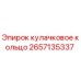 2657135337 кулачковое кольцо Epiroc