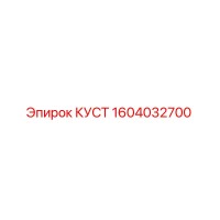 1604032700 КУСТ Эпирок