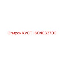 1604032700 КУСТ Эпирок