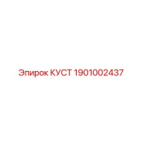 1901002437 КУСТ - Epiroc