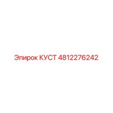 4812276242 КУСТ Эпирок
