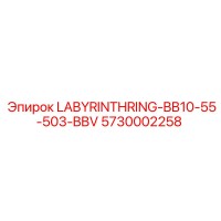 5730002258 LABYRINTHRING-BB10-55-503-BBV Epiroc