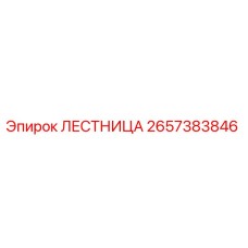 2657383846 ЛЕСТНИЦА Epiroc