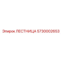 5730002653 Ladder Epiroc