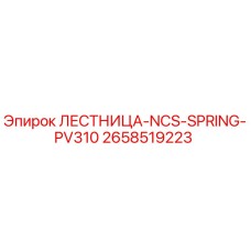 2658519223 ЛЕСТНИЦА-NCS-SPRING-PV310 Epiroc