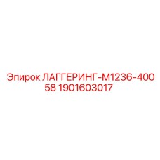 1901603017 ЛАГГЕРИНГ-M1236-40058 Epiroc