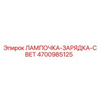 4700985125 ЛАМПОЧКА-ЗАРЯДКА-СВЕТ Epiroc