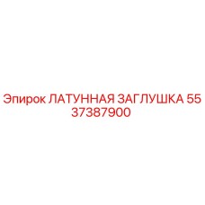 5537387900 ЛАТУННАЯ ЗАГЛУШКА Epiroc