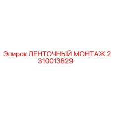 2310013829 ЛЕНТОЧНЫЙ МОНТАЖ от Epiroc