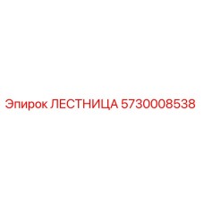 5730008538 ЛЕСТНИЦА Epiroc