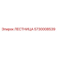 5730008539 ЛЕСТНИЦА Epiroc