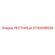 5730008539 ЛЕСТНИЦА Epiroc