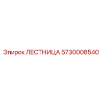 5730008540 ЛЕСТНИЦА Epiroc