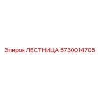 5730014705 ЛЕСТНИЦА Epiroc