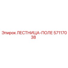 57117038 ЛЕСТНИЦА-ПОЛЕ Epiroc