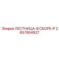 2657954927 ЛЕСТНИЦА-В СБОРЕ-P (Epiroc)