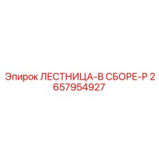 2657954927 ЛЕСТНИЦА-В СБОРЕ-P (Epiroc)